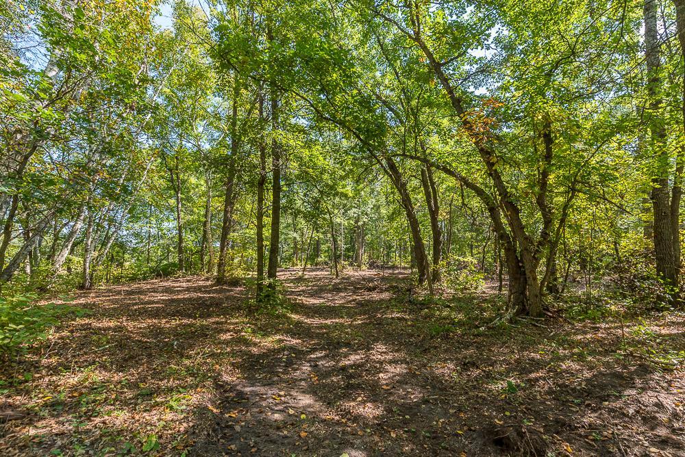 LOT B (7 of 22).jpg