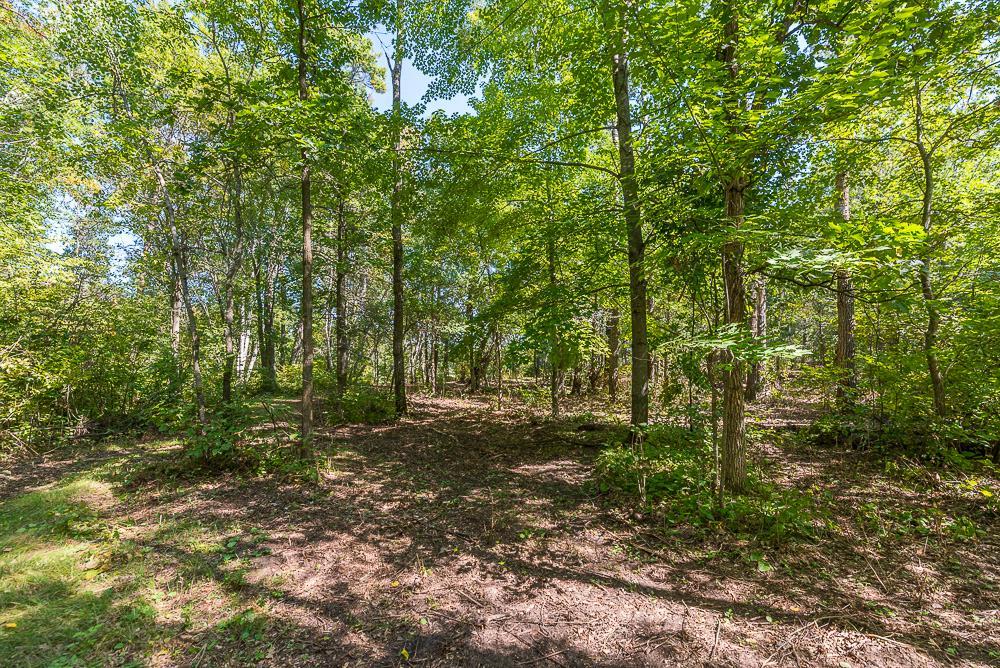 LOT B (6 of 22).jpg