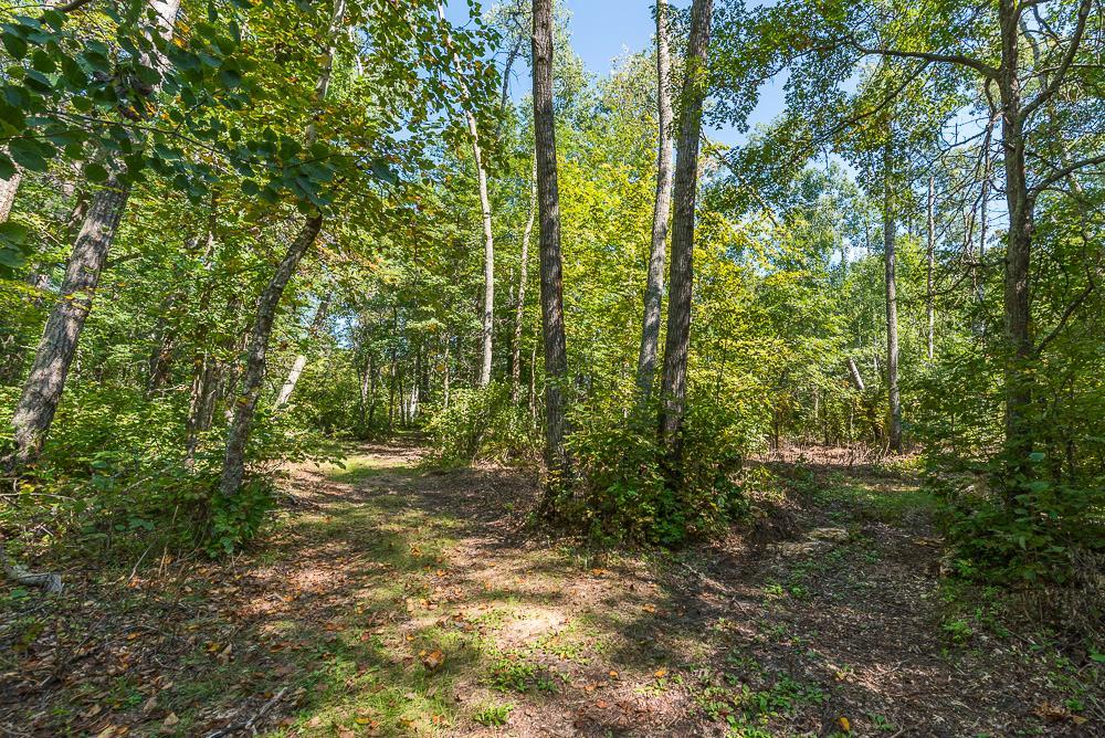 LOT B (5 of 22).jpg