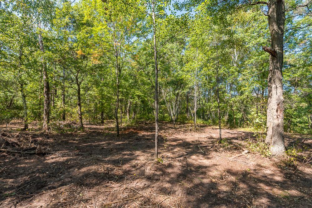 LOT C (5 of 29).jpg