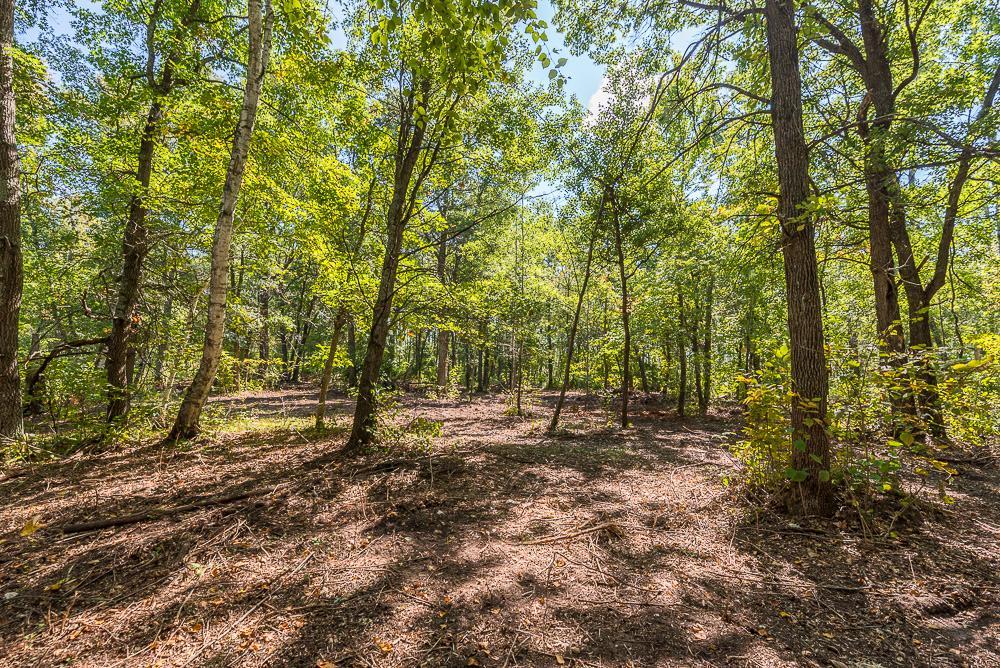 LOT C (1 of 29).jpg