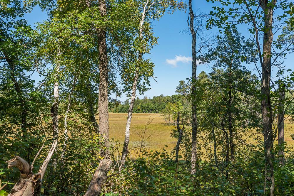 Property photo for Tract D TBD Little Pine Road, Brainerd, MN 56401