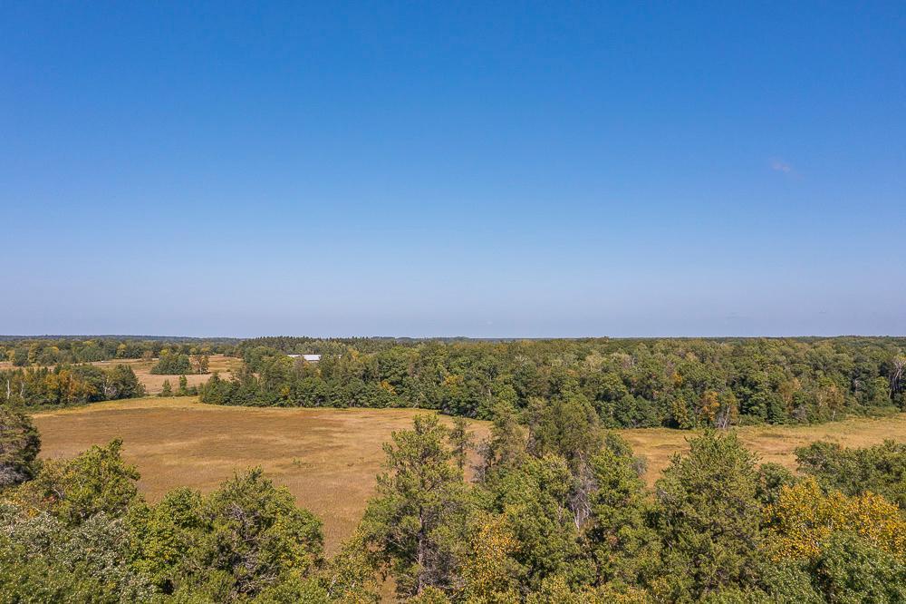 LOT D (25 of 28).jpg