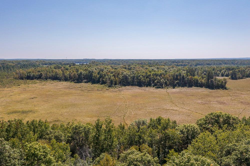 LOT D (24 of 28).jpg