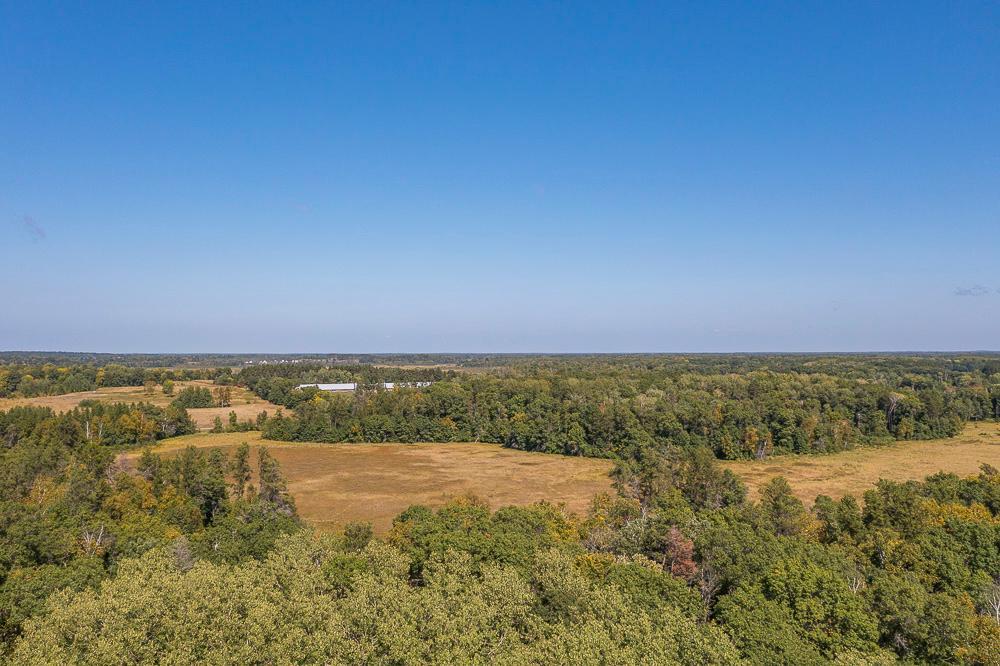 LOT D (16 of 28).jpg