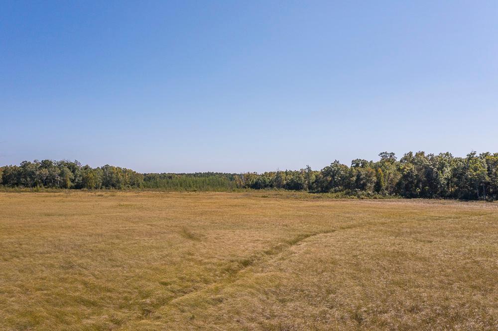 LOT D (14 of 28).jpg