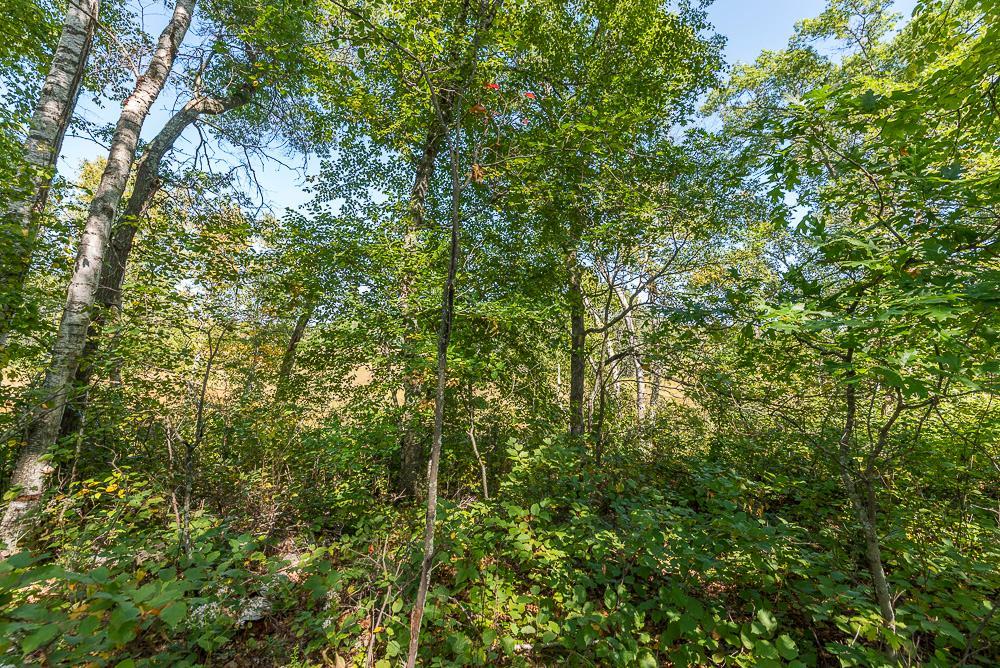 LOT D (4 of 28).jpg