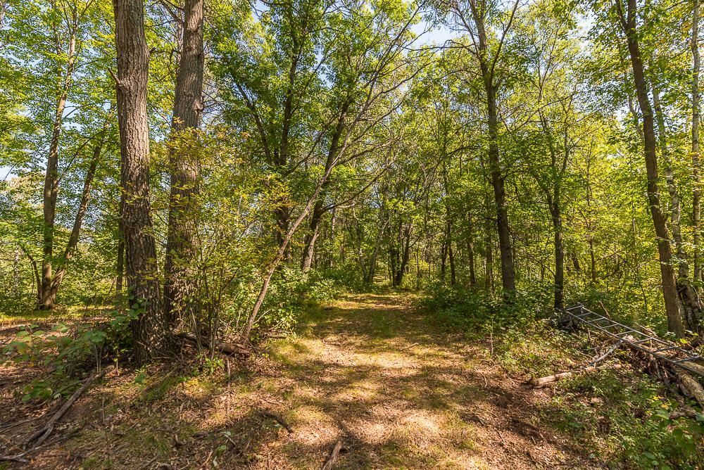 LOT D (1 of 28).jpg