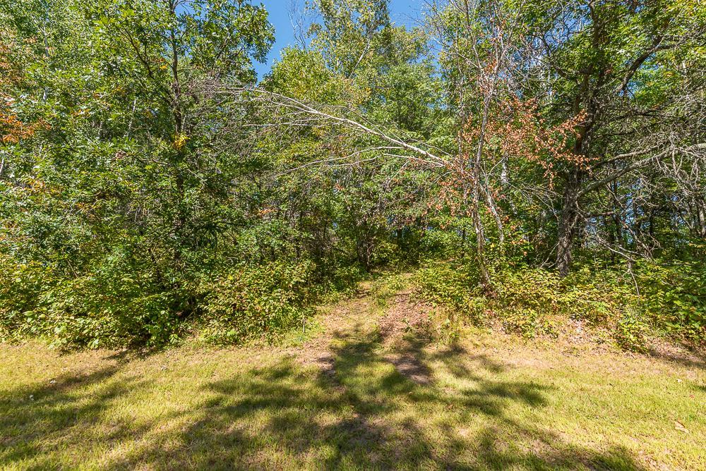 LOT D (11 of 28).jpg