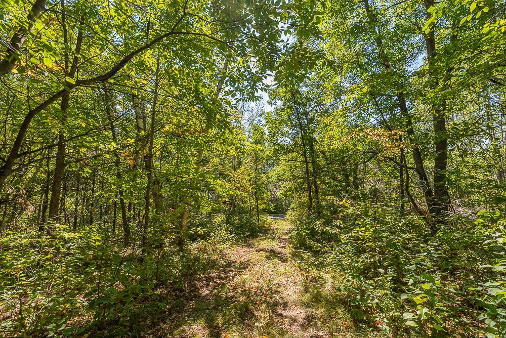 LOT D (9 of 28).jpg