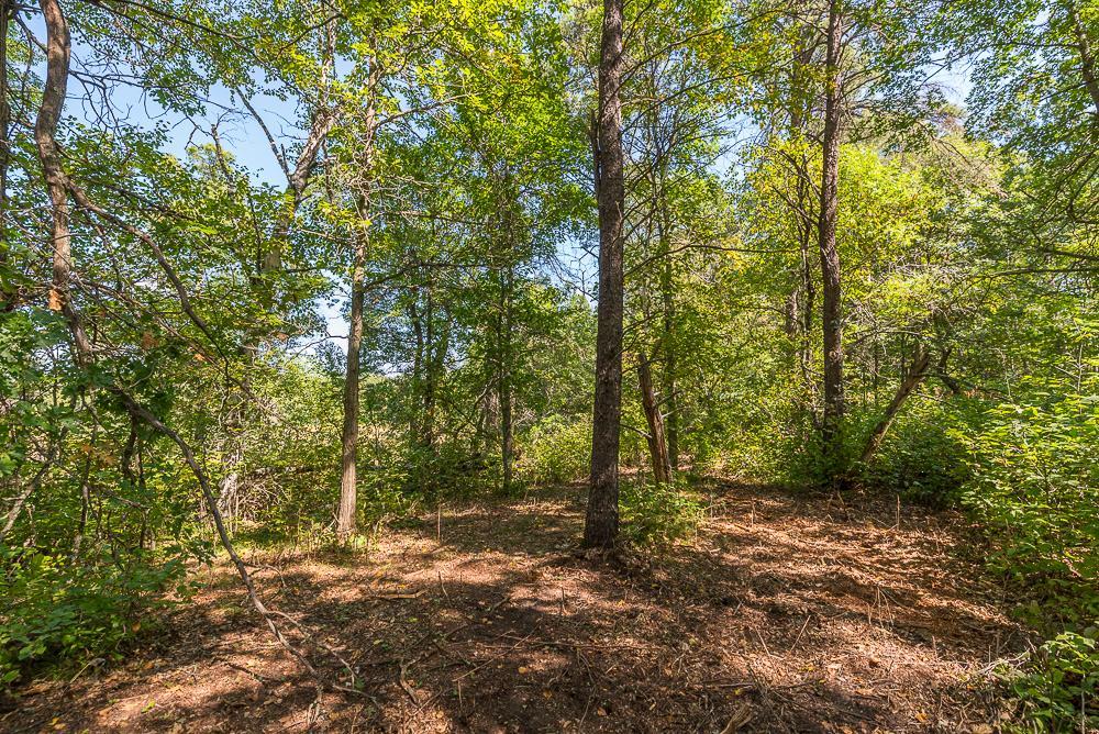LOT D (7 of 28).jpg