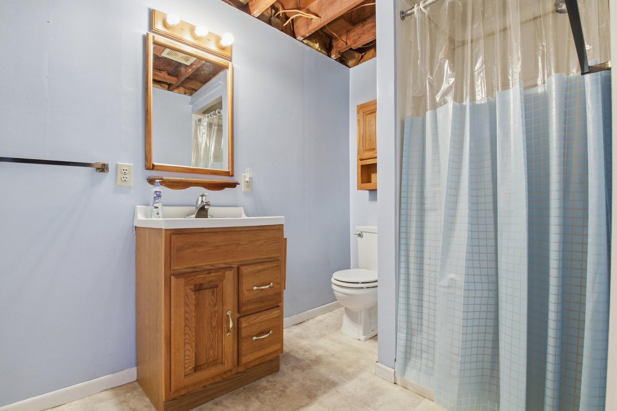 Lower level bathroom.