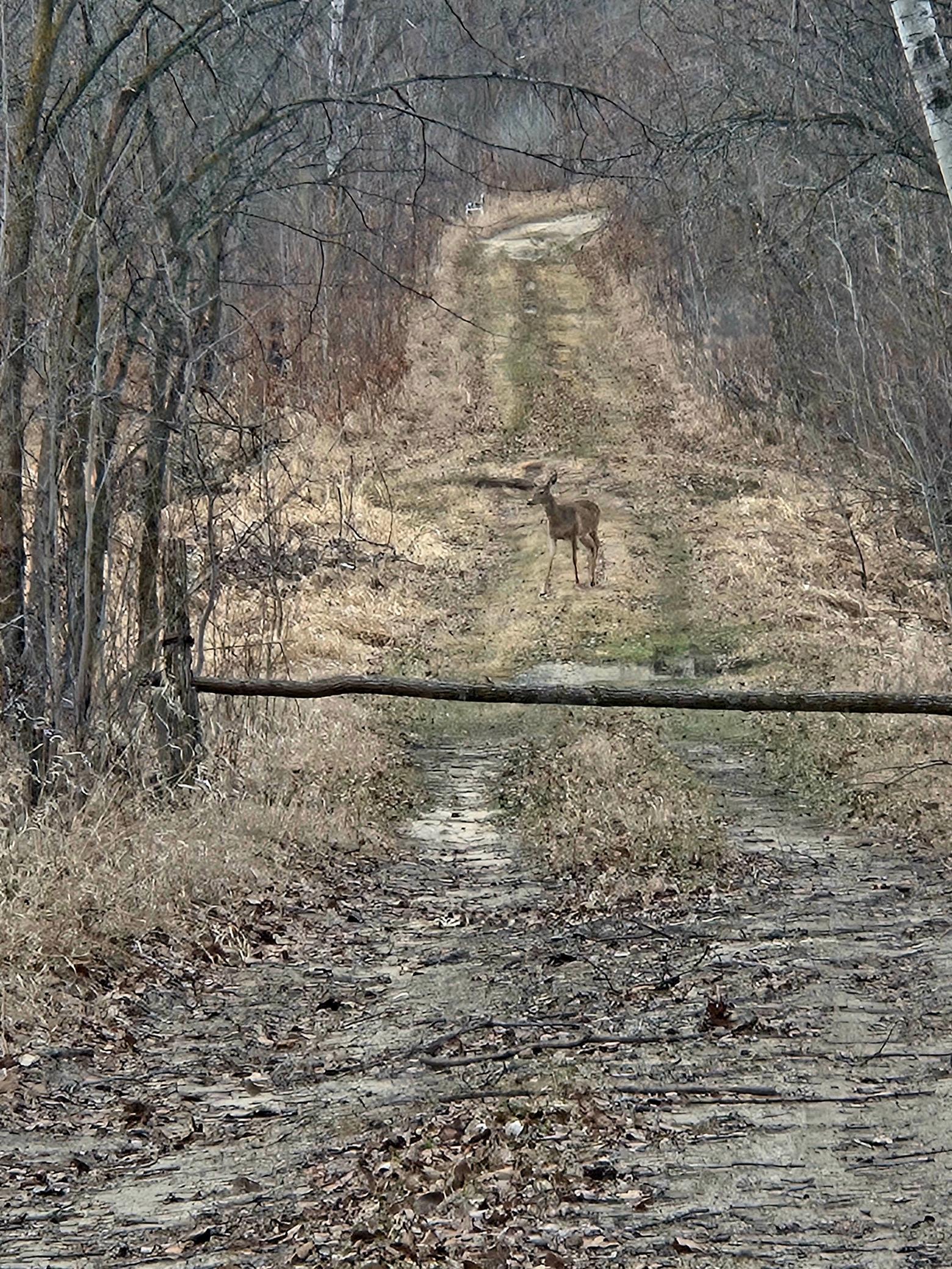 Driveway entrance facing South