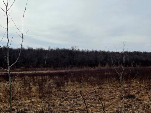 29221 County Highway 34, Callaway, MN 56521