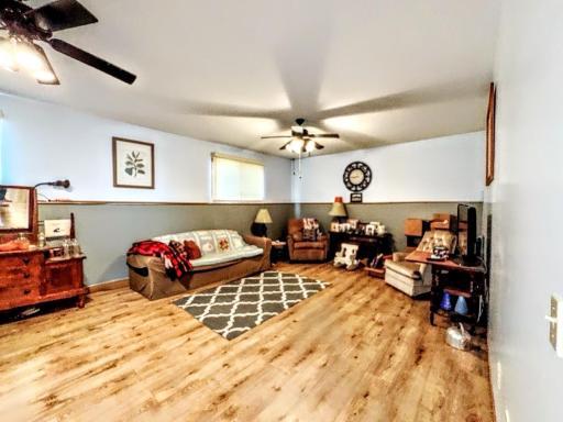 Lower level Family Room