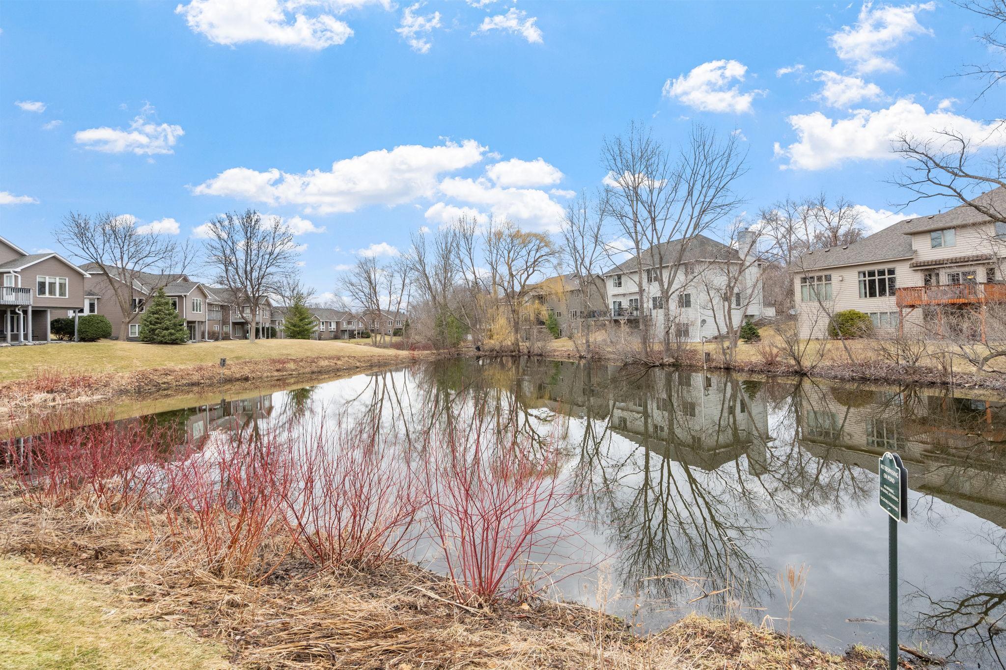 10-web-or-mls-3635 Zanzibar Ln-10.jpg