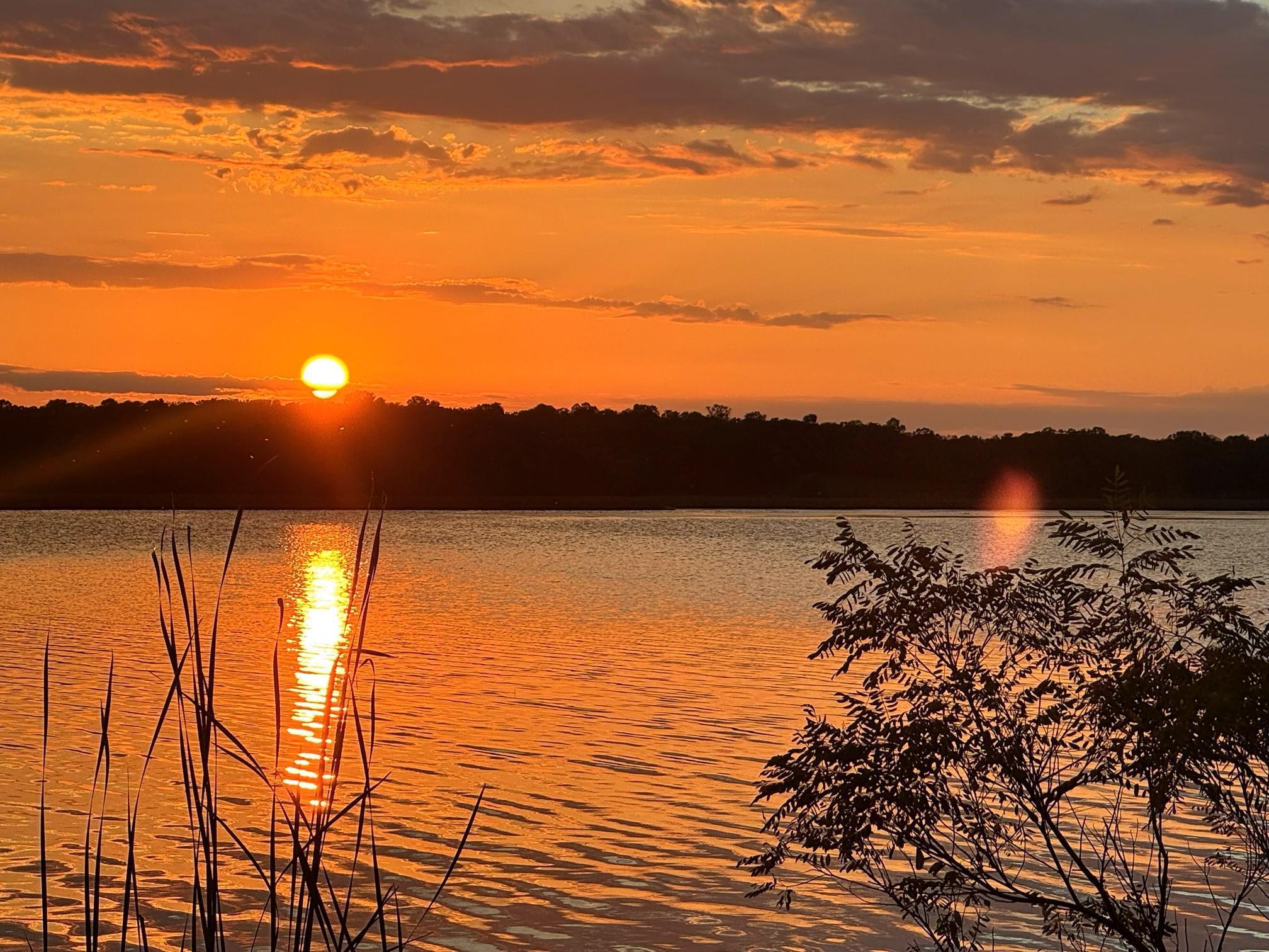 Florida Slough Sunset
