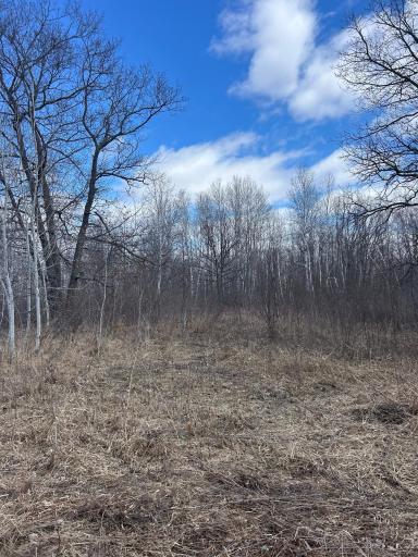 3862 Olympic Street, Isle, MN 56342