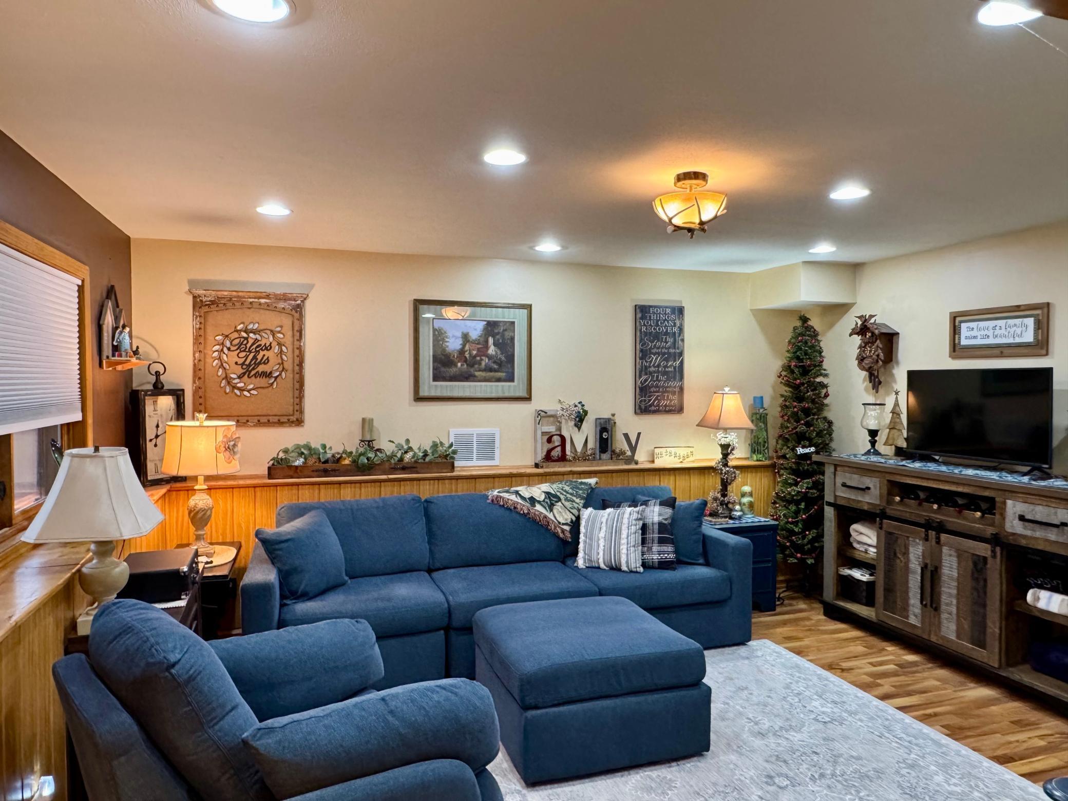 Lower level family room