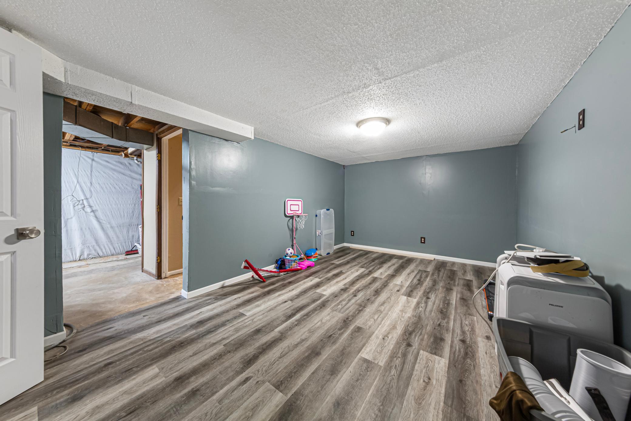 Basement Family Room