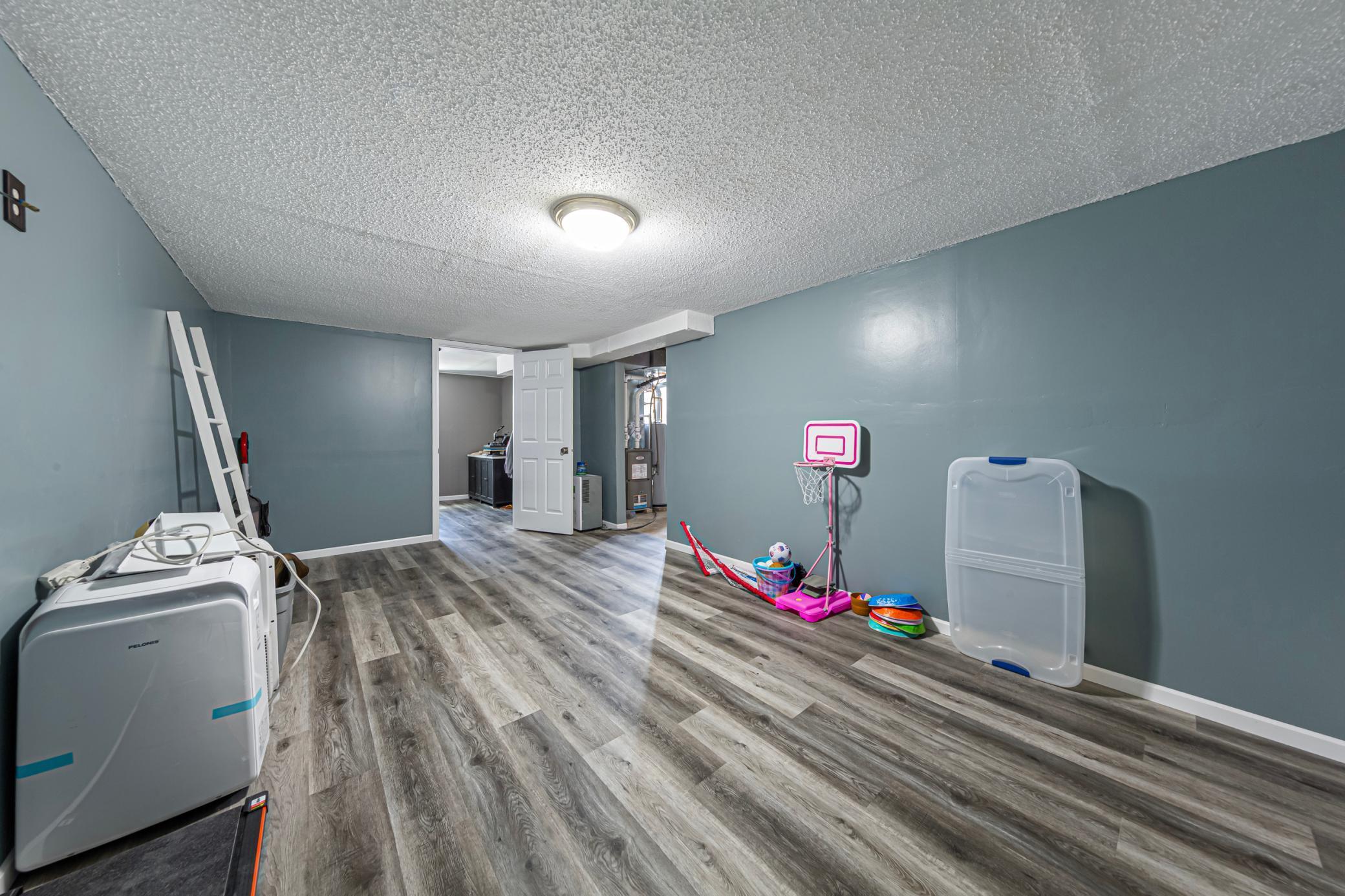 Basement Family Room