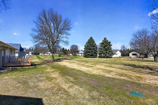 Beautiful manicured yard