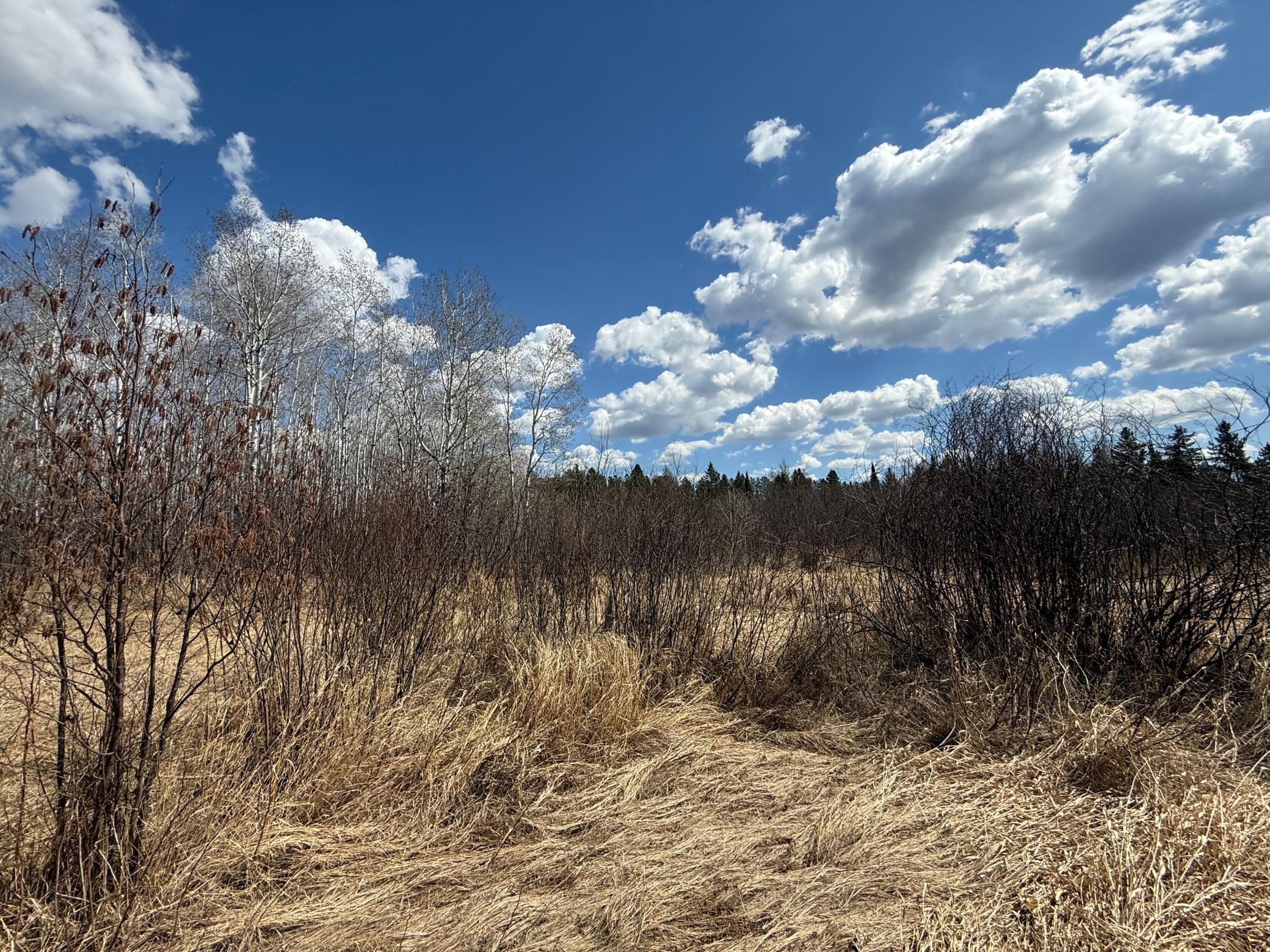 IMG_8420.JPG