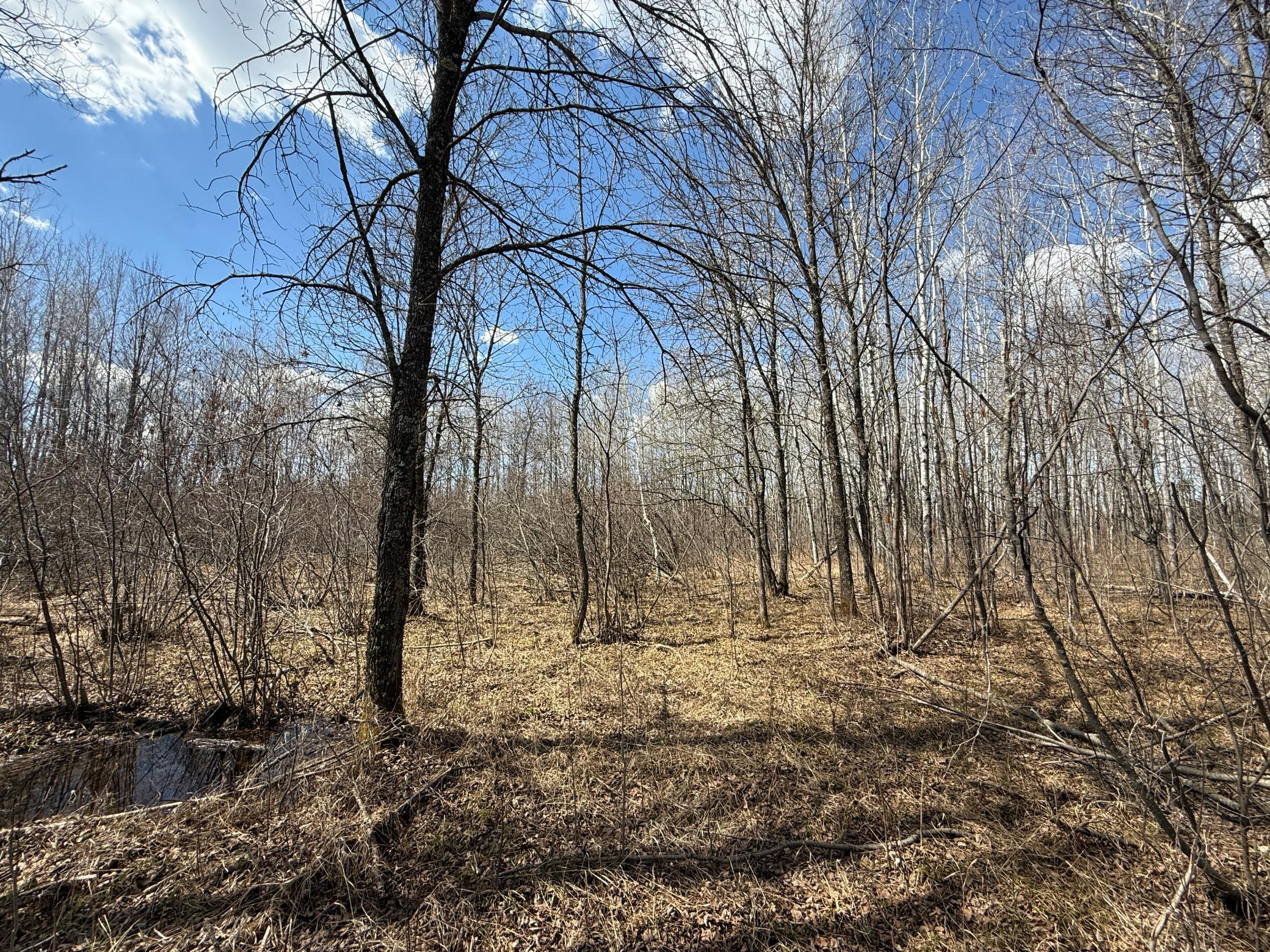 IMG_8402.JPG