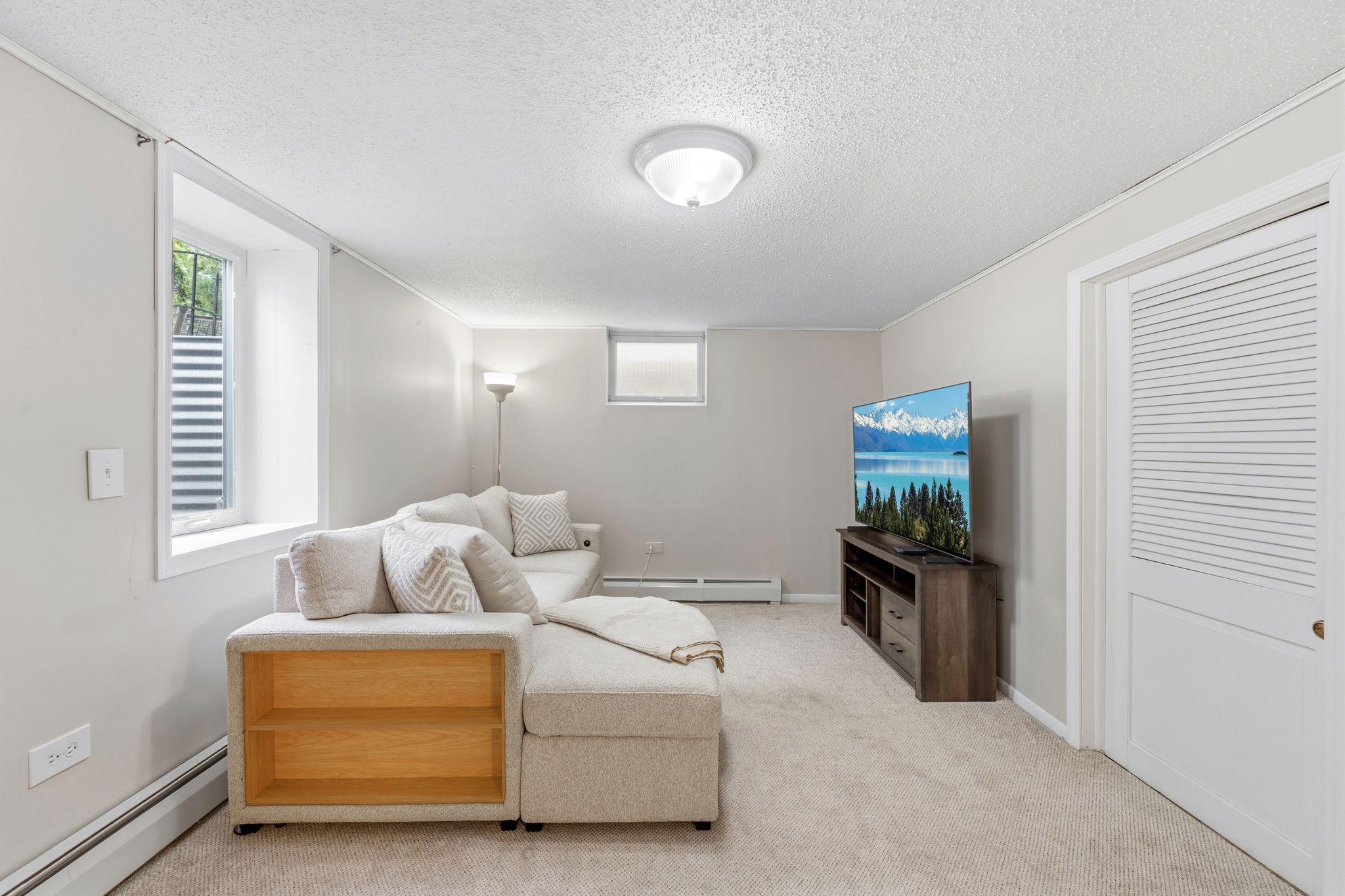 Lower Level Family Room