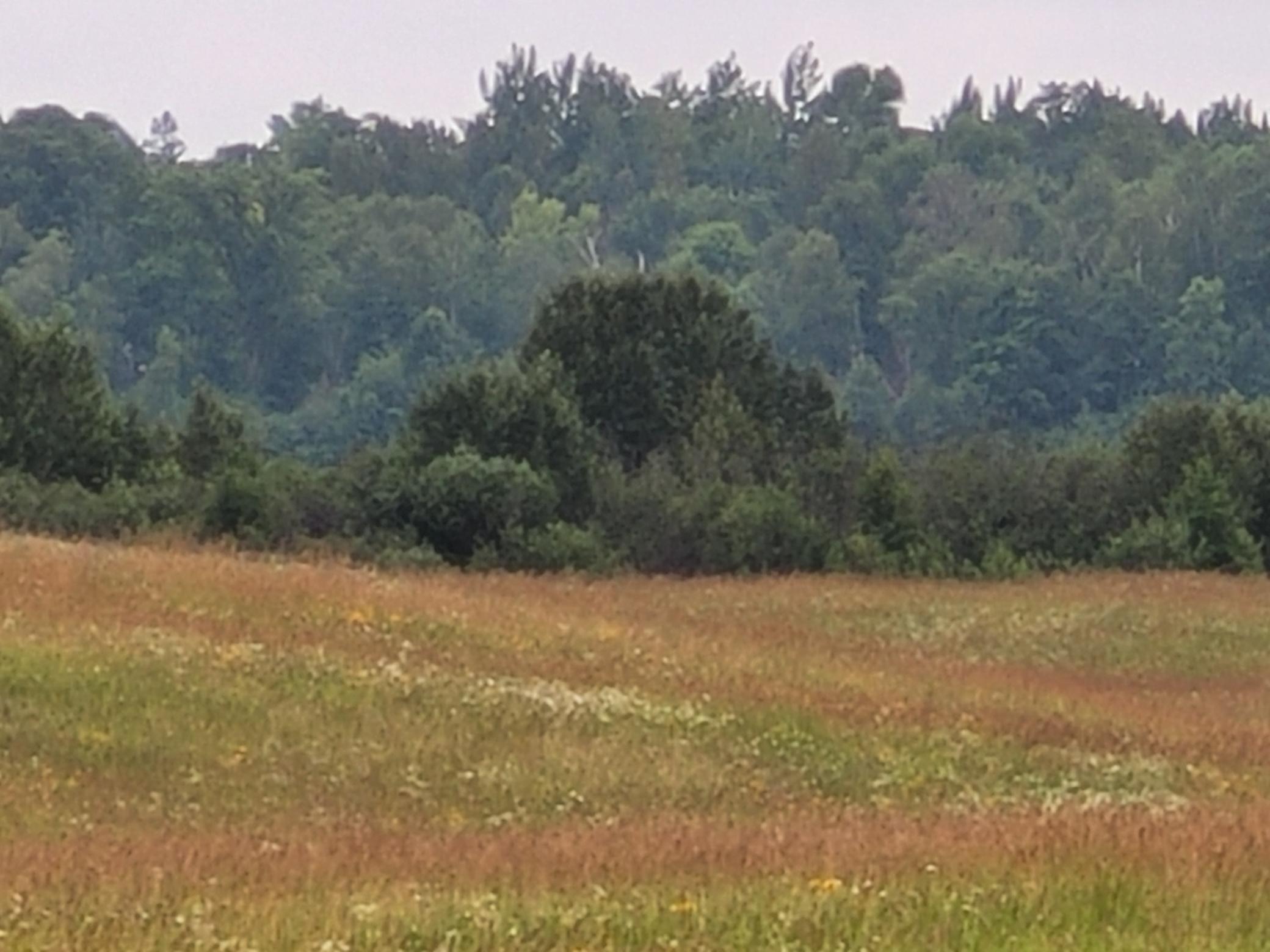 20240723_090432.jpg