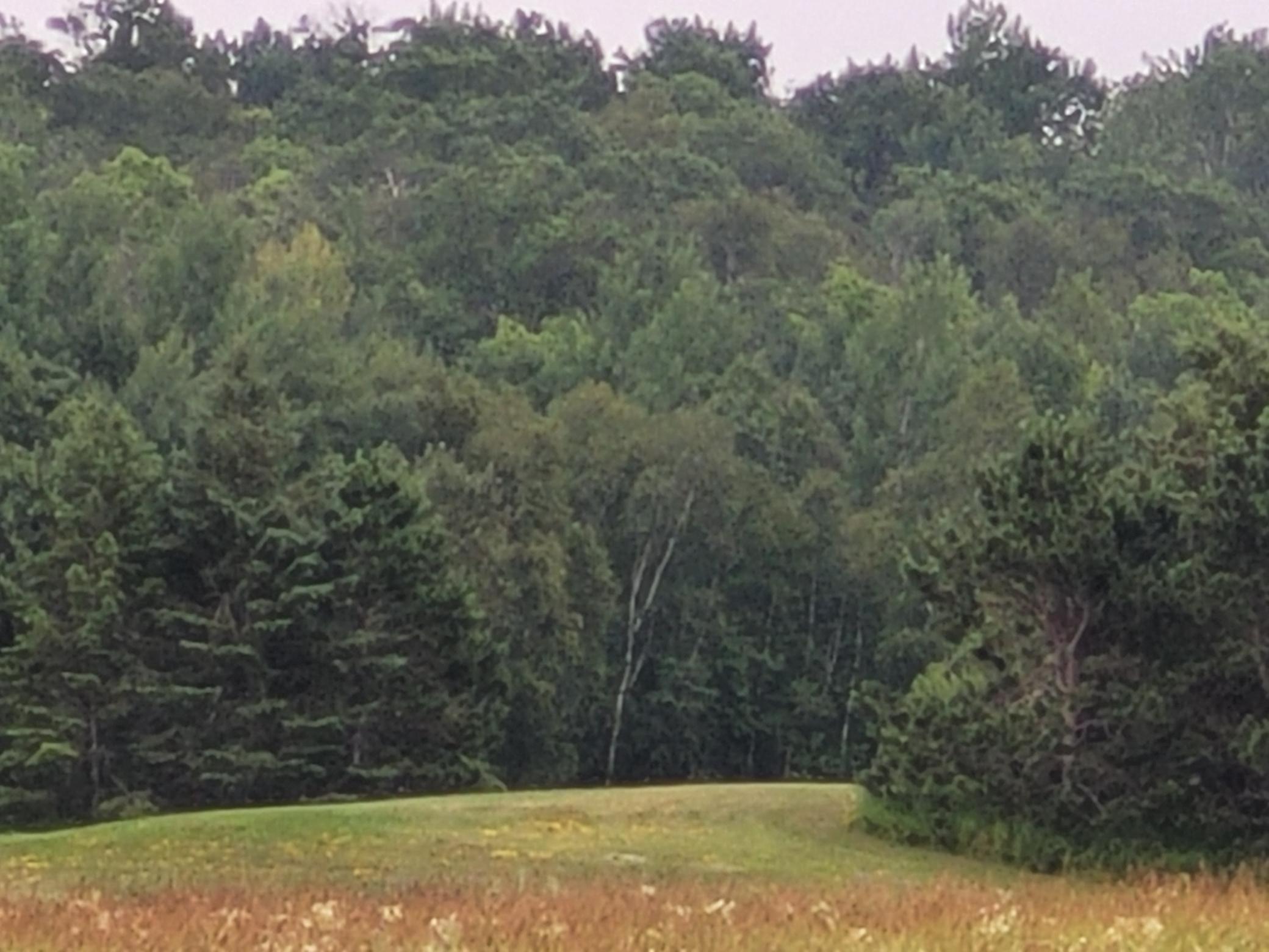 20240723_090459.jpg