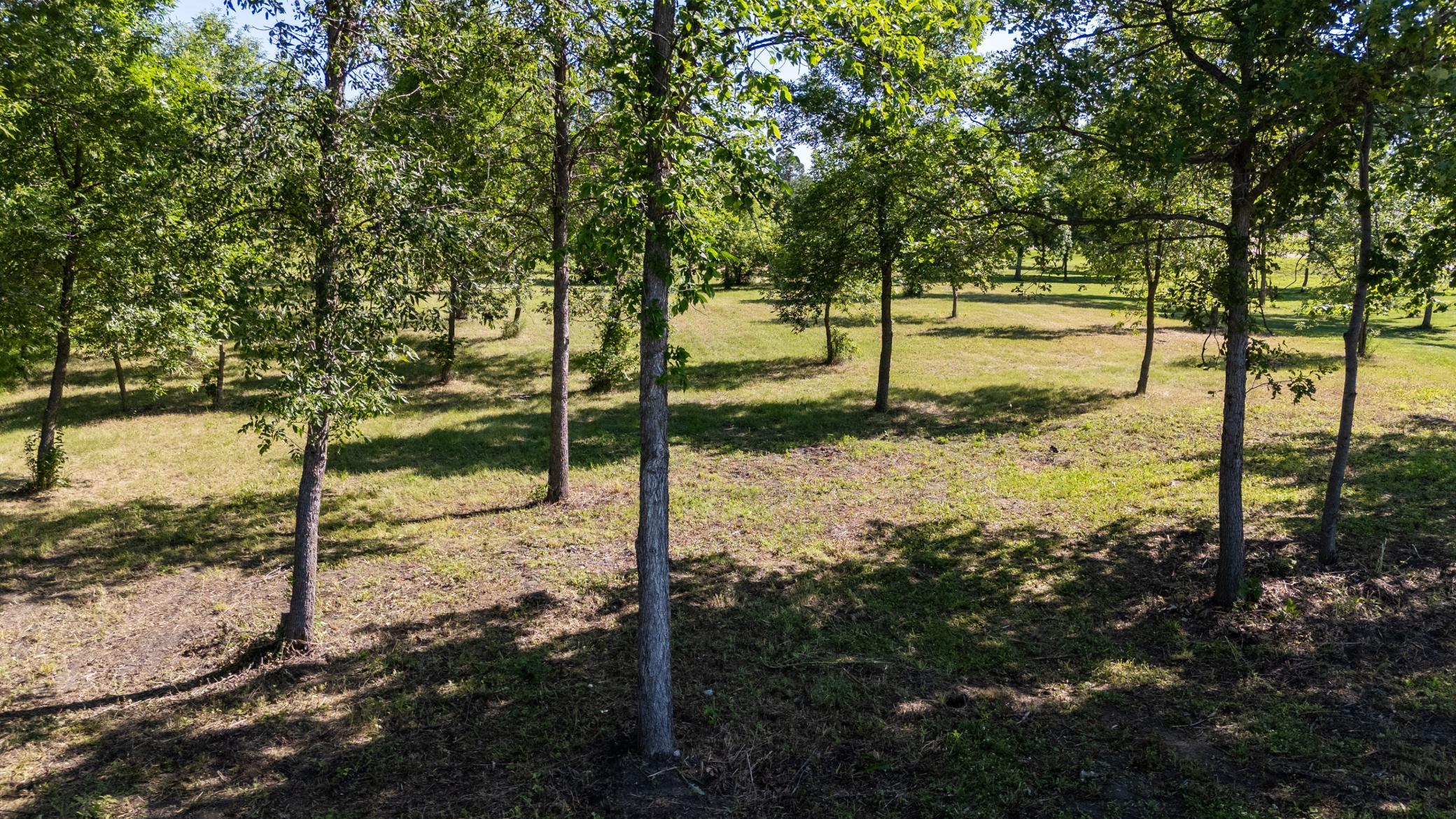 DJI_20250701100542_0521_D.jpg