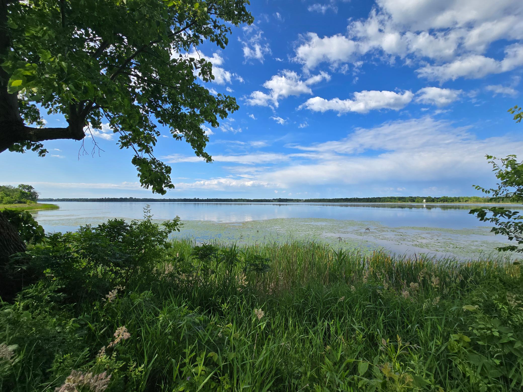Property photo for TBD 405th Avenue, Richville, MN 56576