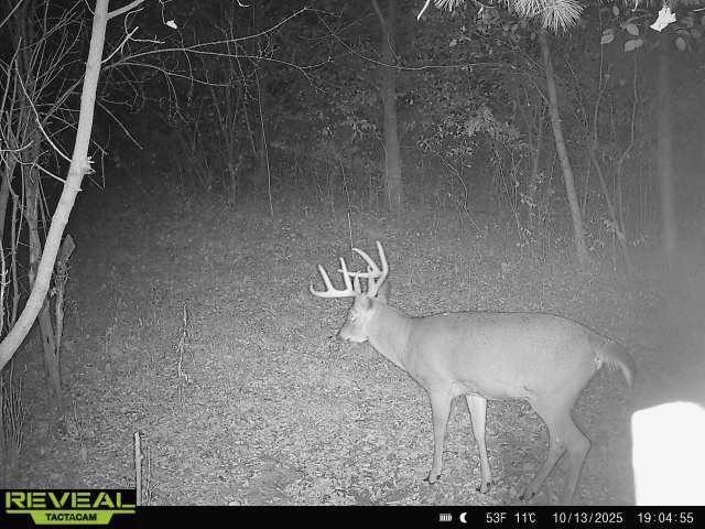 865814049671116-1-3-10132025190454-W1009145 (1).jpeg