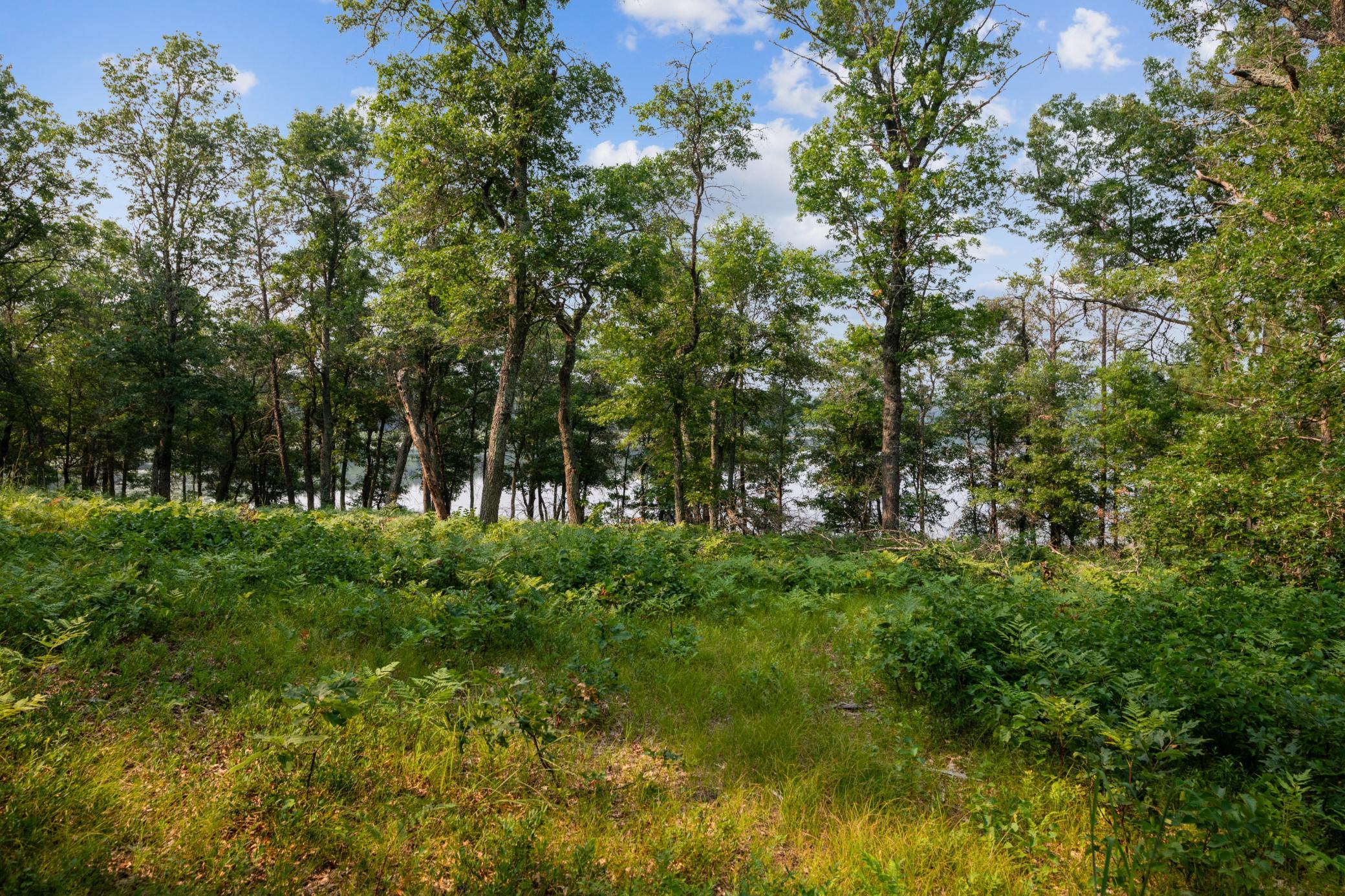 elevation facing lake.jpg