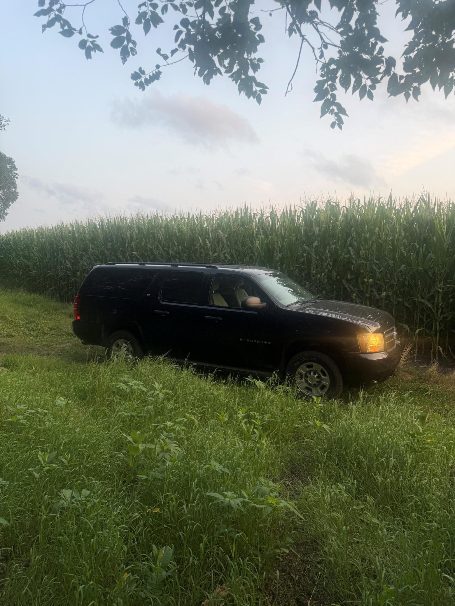 Corn.jpg