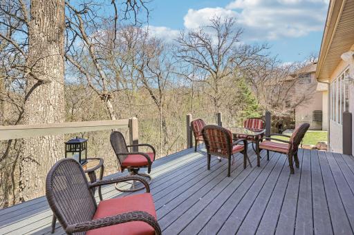 3489 Wolfberry Court, Eagan, MN 55123