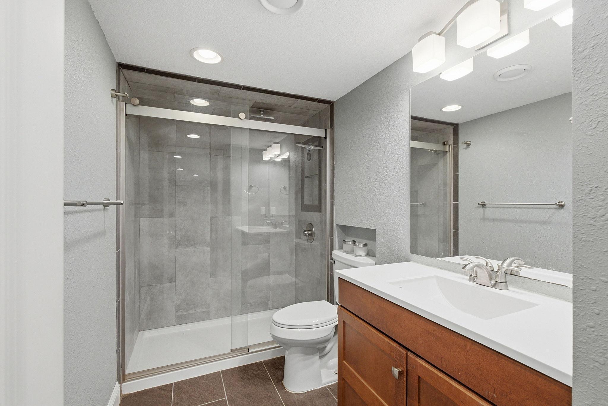 Update Lower Level Bathroom