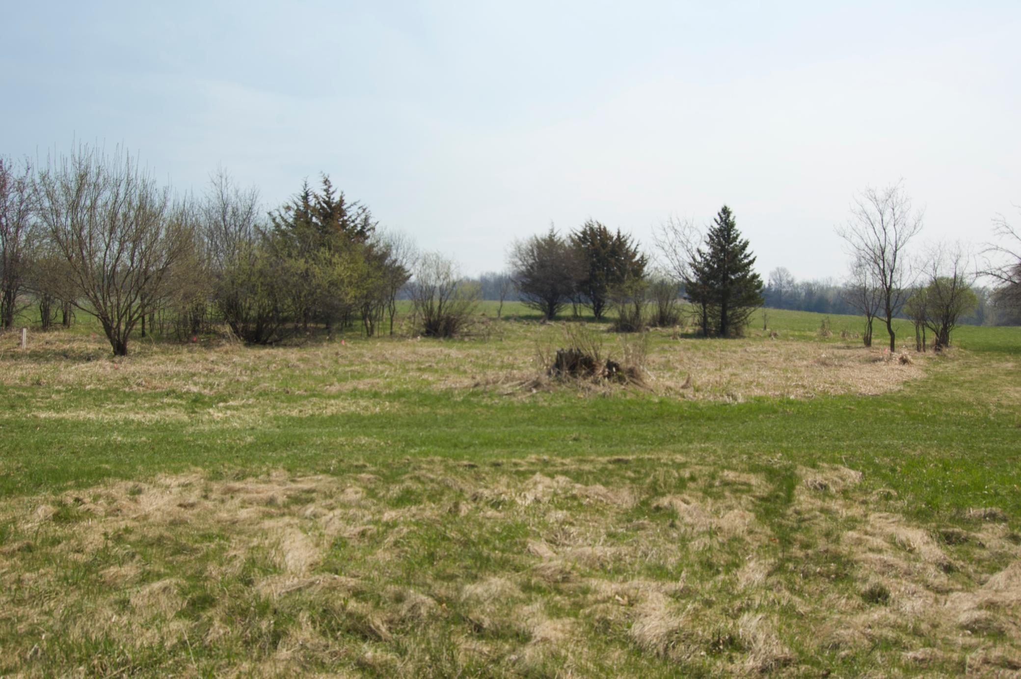 DSC_0122.jpg
