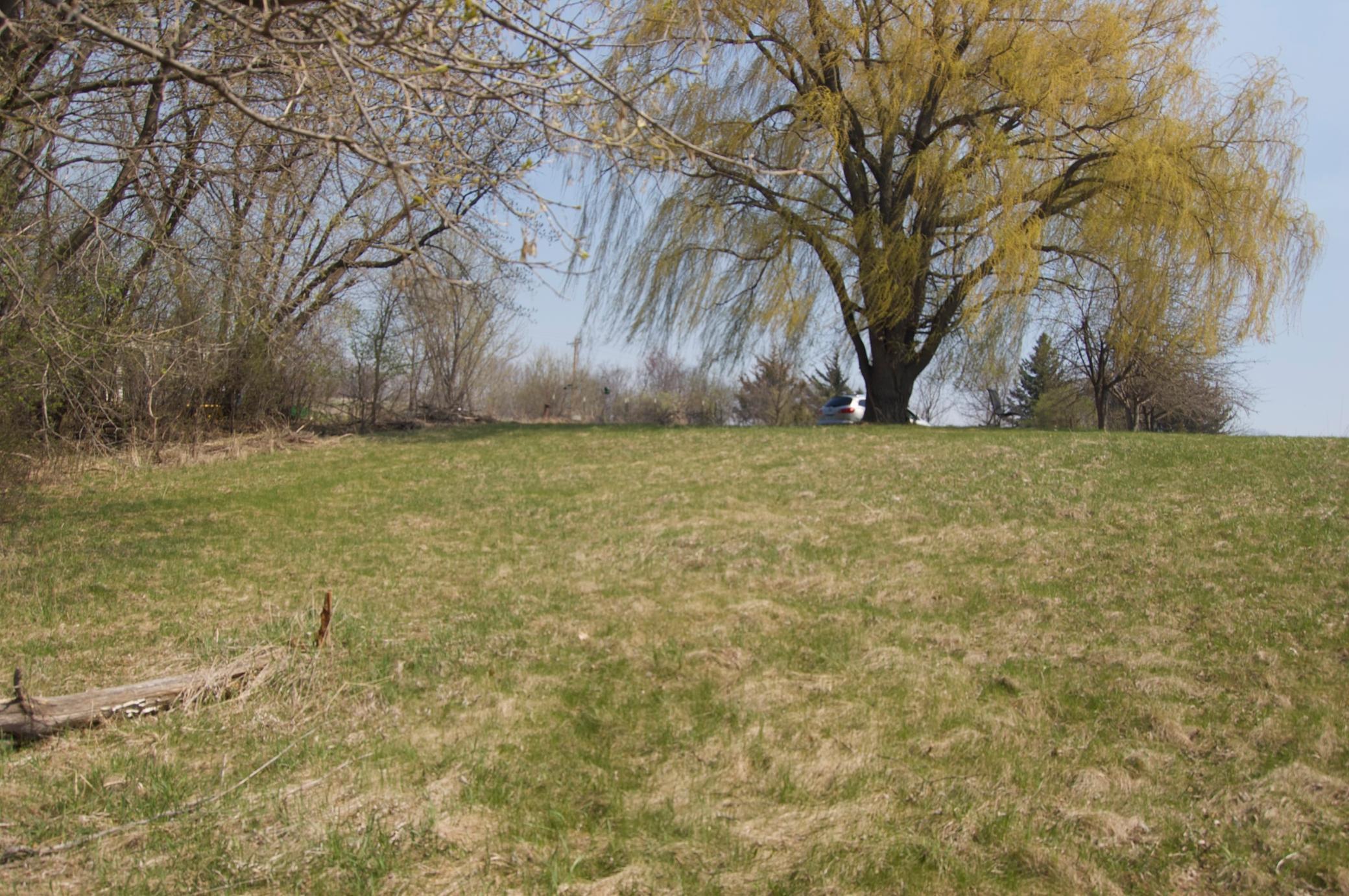 DSC_0127.jpeg