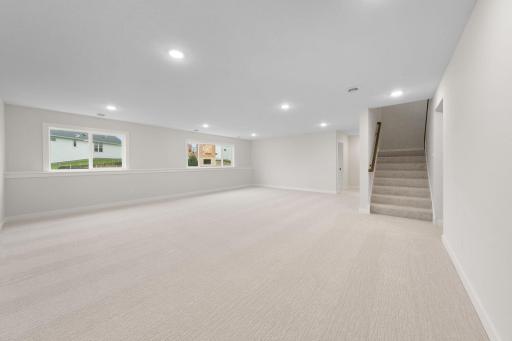 Finished Lower Level Family Room