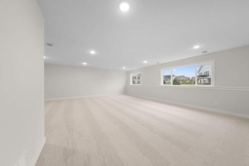 Finished Lower Level Family Room