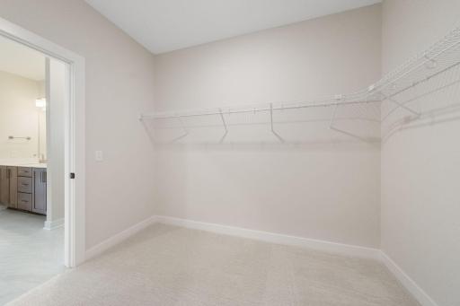 Primary Walk-In Closet