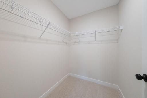 Basement Walk-In Closet