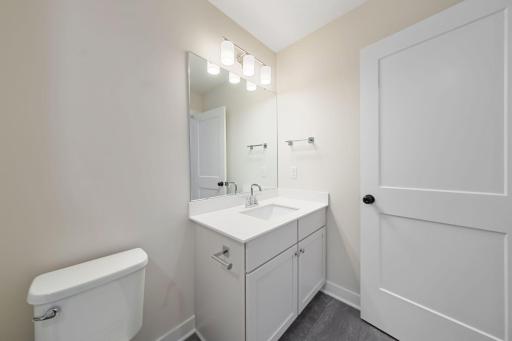 Lower Level Bathroom