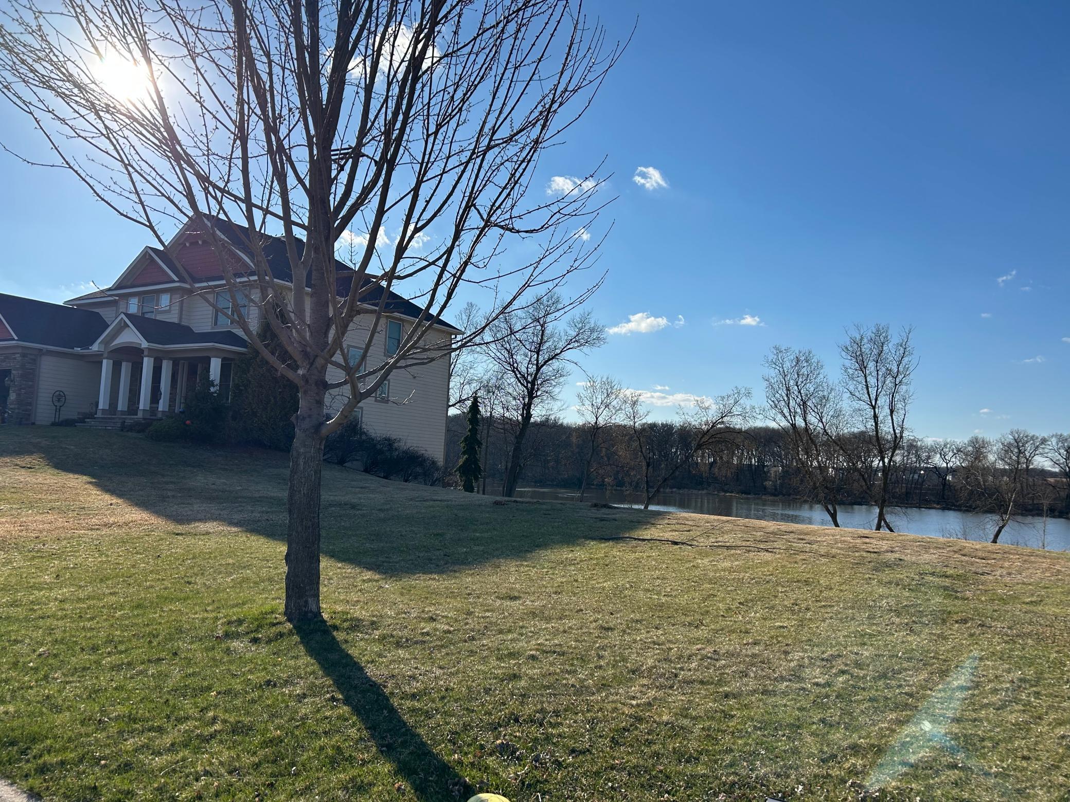 Angled view of the lot and tree in the front yard.