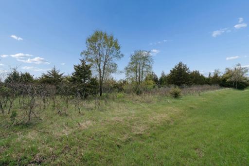 PART NW1/4 of SW1/4 ACRES located in Section 23, Jordan, MN 55352