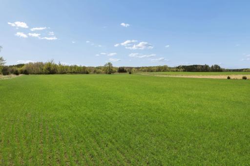 PART NW1/4 of SW1/4 ACRES located in Section 23, Jordan, MN 55352