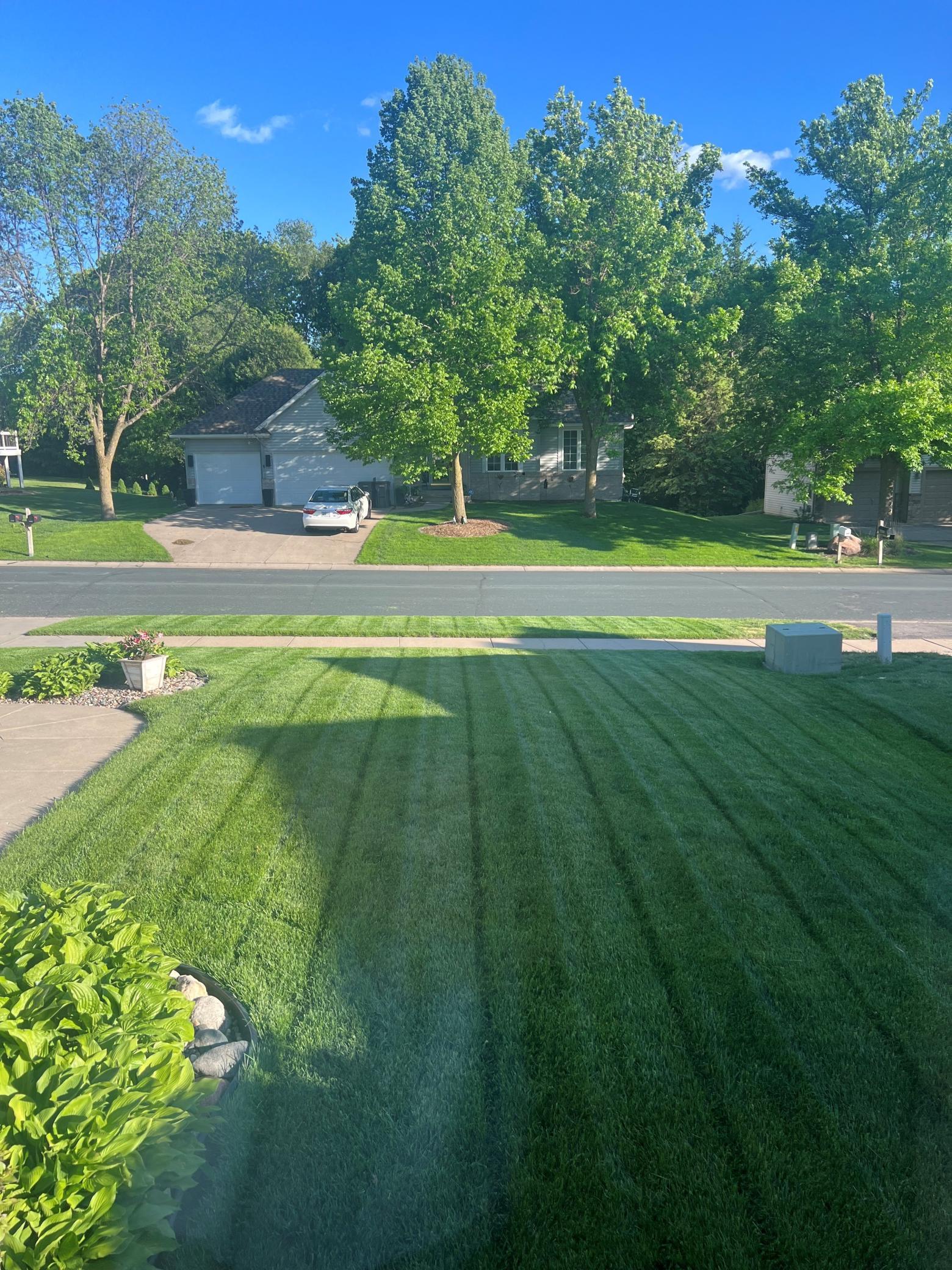 Summer picture of front yard (provided by seller).