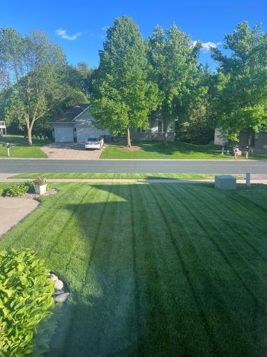Summer picture of front yard (provided by seller).